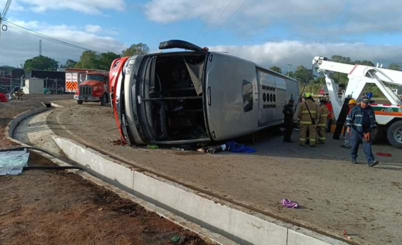 autobús volcó en vía principal

 – Tinta clara