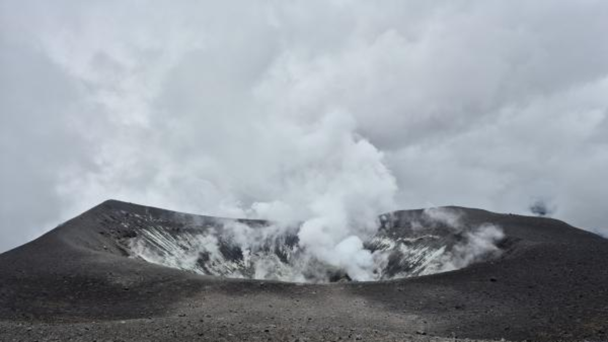 El Gobierno activa protocolos tras la alerta naranja y coordina acciones urgentes con entidades para reforzar la vigilancia y preparación

 – Tinta clara