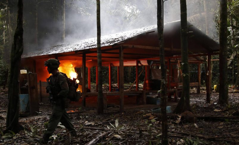 ¿PAZ TOTAL? PREGÚNTELE A GUAVIARE – EXTRA
 – Tinta clara