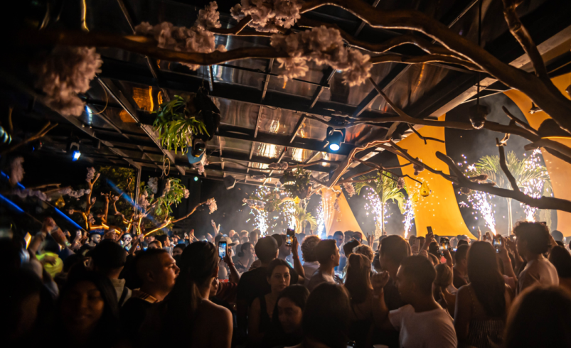 La Pérgola Clandestina fue nuevamente premiada

 – Tinta clara