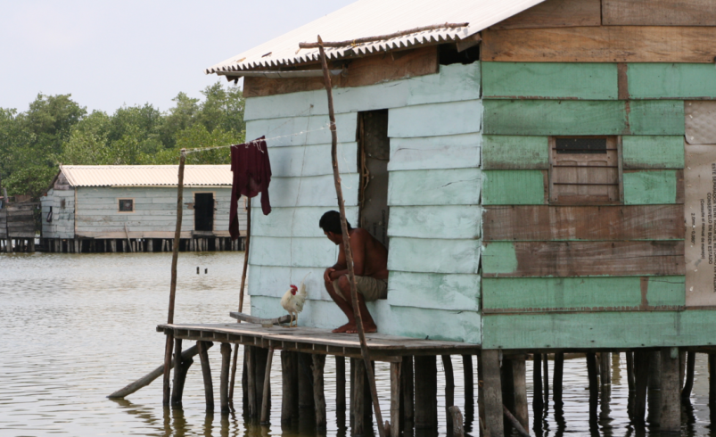 la noche que enmudeció la Ciénaga Grande de Santa Marta

 – Tinta clara