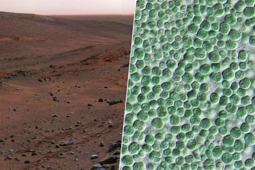 uno crea cemento, el otro lo protege

 – Tinta clara