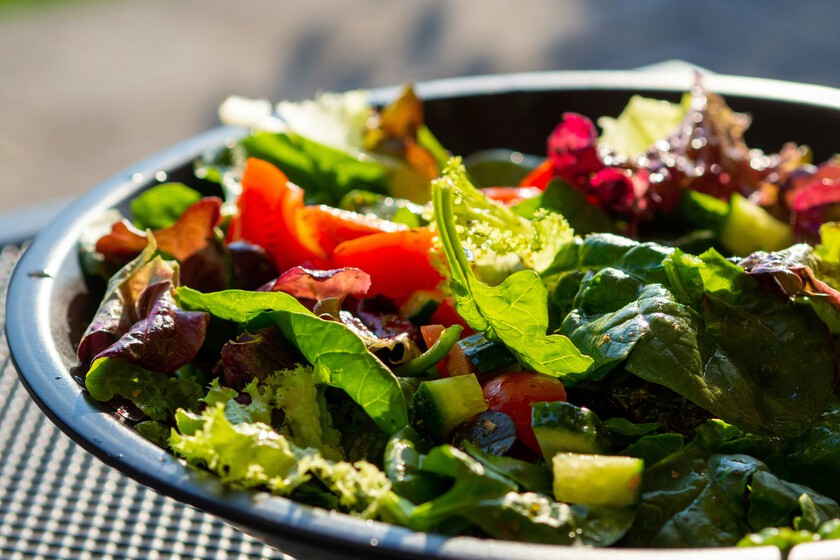 Si quieres que tu cuerpo sea biológicamente ocho años más joven, la ciencia tiene una receta para ti: dieta vegana

 – Tinta clara