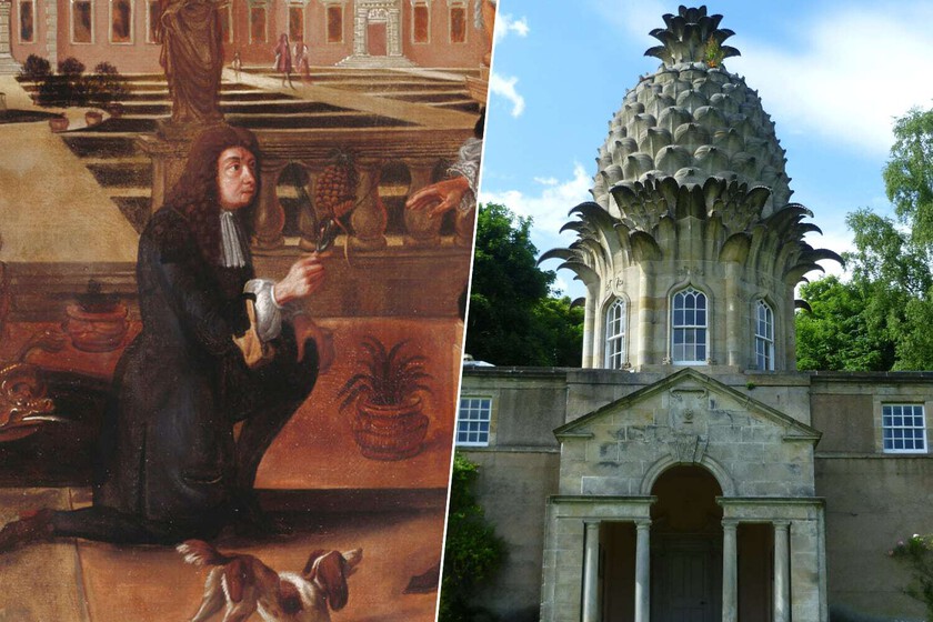 Colón introdujo la piña en Europa en 1496. 200 años después los ingleses se volvieron locos

 – Tinta clara