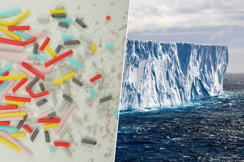 El único insecto de la Antártida ha empezado a comer algo que no debería.

 – Tinta clara