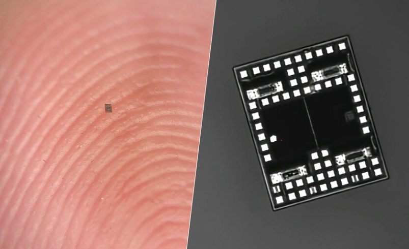 Ya existen robots autónomos más pequeños que un grano de sal

 – Tinta clara