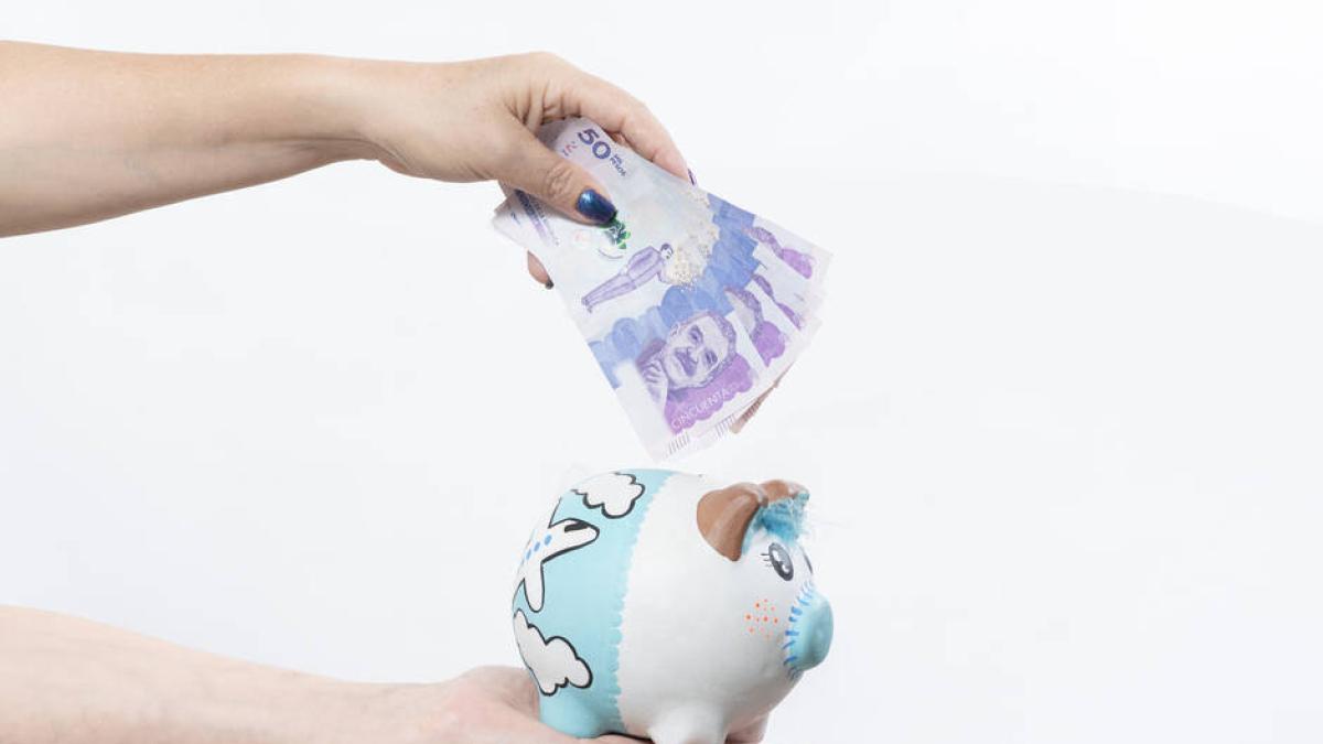 ¿Has perdido semanas de aportaciones? Con estos documentos podrás realizar el trámite en Colpensiones

 – Tinta clara