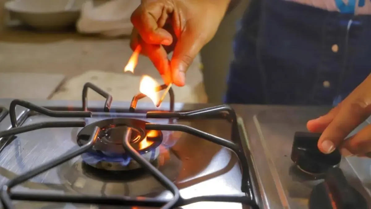 Estas son las 20 medidas del Gobierno de Pedro para garantizar ‘precios justos’ del gas natural y ‘evitar la especulación’

 – Tinta clara