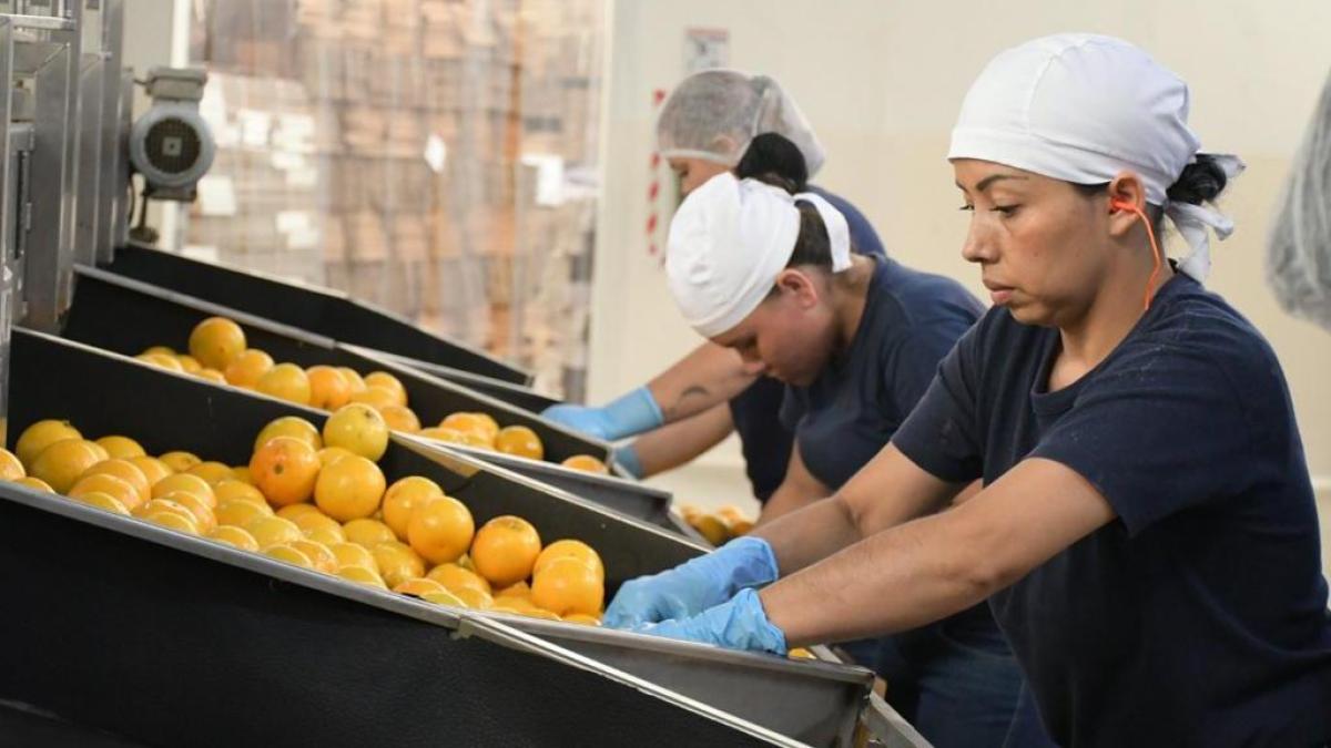 Nuevos permisos retribuidos entrarán en vigor en 2026

 – Tinta clara