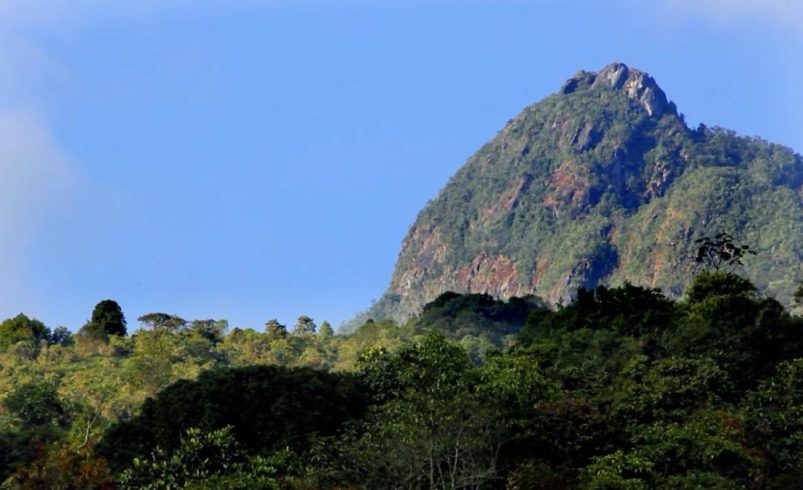 tres policías resultaron heridos; lo que se sabe

 – Tinta clara