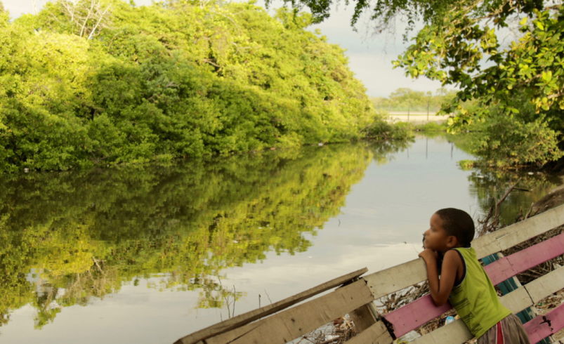 visítalos esta navidad y año nuevo

 – Tinta clara