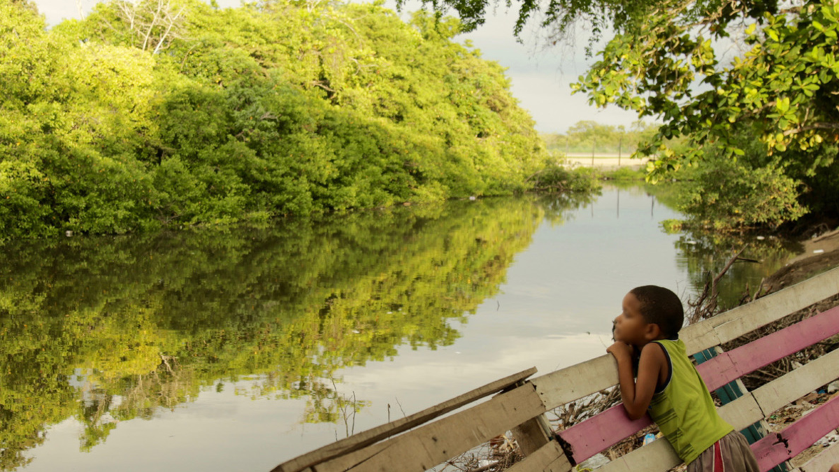 visítalos esta navidad y año nuevo

 – Tinta clara