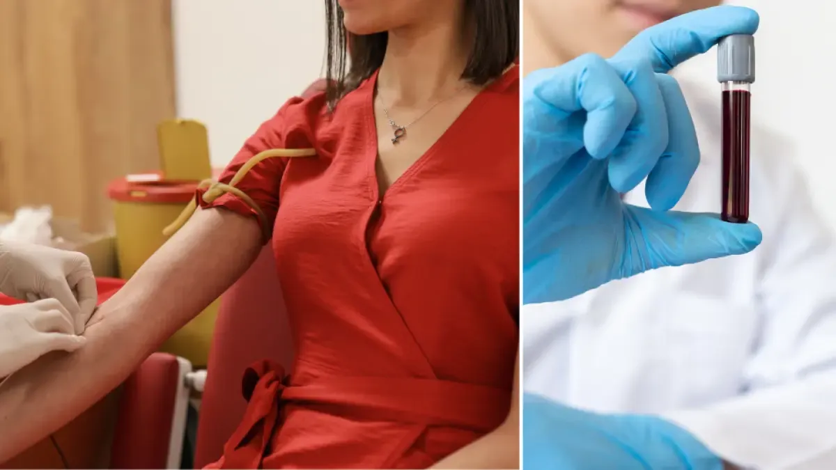 autoridades sanitarias del Valle del Cauca invitan a donar sangre en esta temporada de fin de año

 – Tinta clara