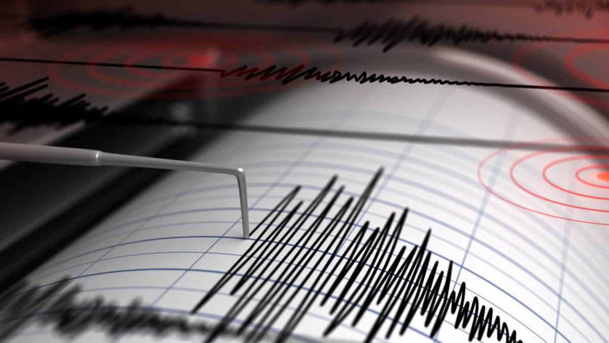 Fuerte sismo en Colombia de magnitud 5,8 sacudió Santander, Bogotá y el resto del país en la madrugada de este miércoles

 – Tinta clara