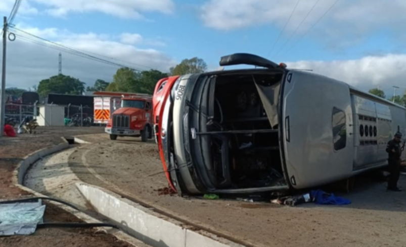 ¿Quiénes fueron los dos músicos que fallecieron en el accidente?

 – Tinta clara
