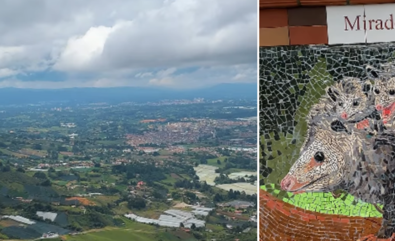 Inauguran nuevo mirador en el oriente antioqueño, ideal para turismo ambiental, en El Carmen de Viboral

 – Tinta clara