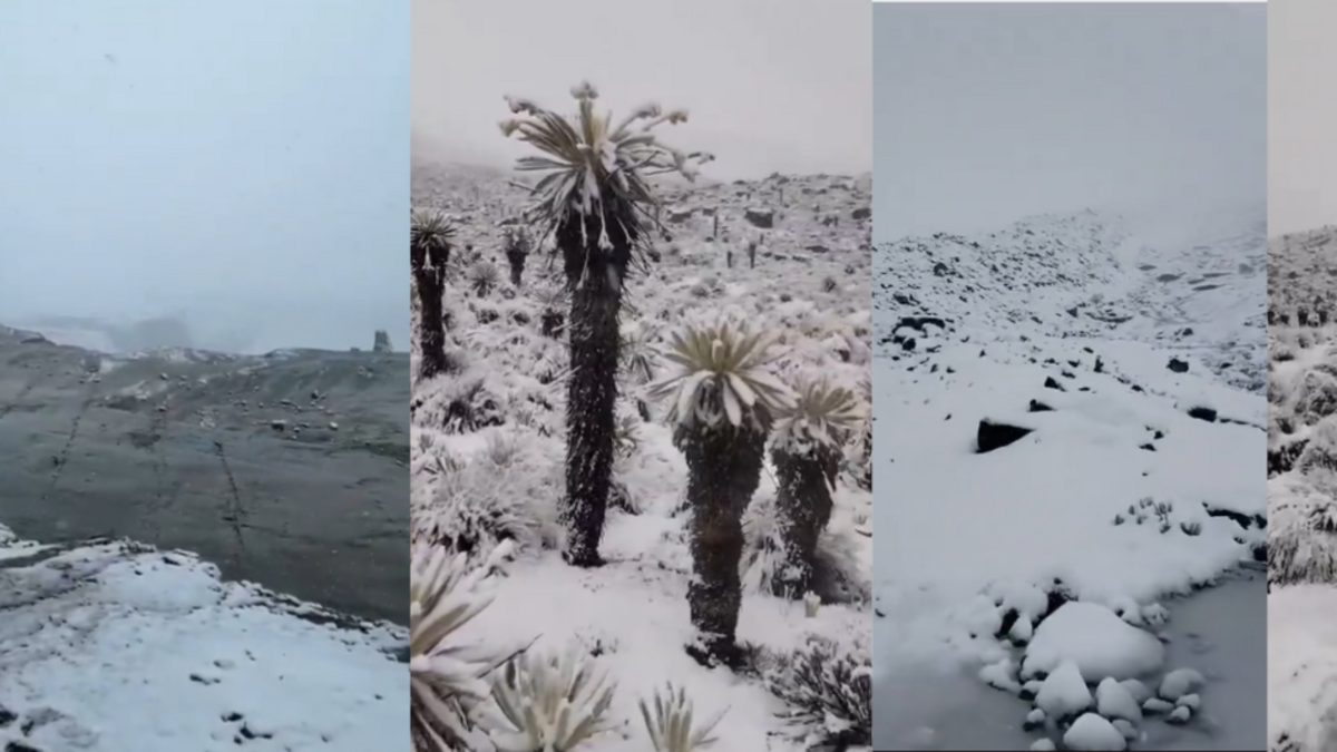 Nevado de El Cocuy se cubre de nieve tras más de 12 horas de precipitaciones y deja paisajes inéditos en varios puntos de la alta montaña

 – Tinta clara