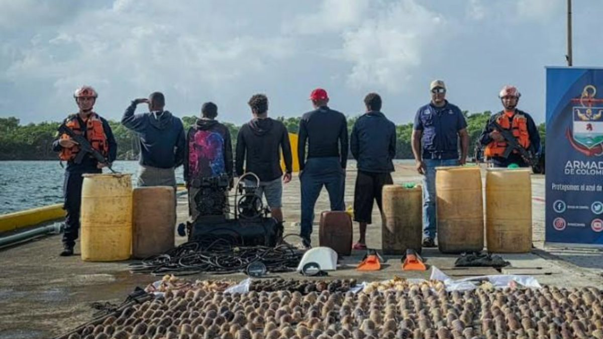 Armada de Colombia intercepta embarcación nicaragüense con más de 180 kilos de pesca ilegal en San Andrés

 – Tinta clara