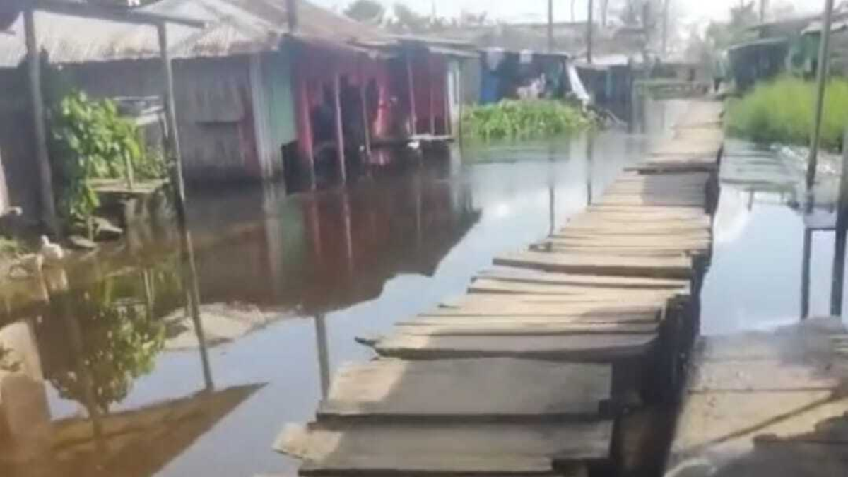 Las inversiones son nulas para evitar inundaciones y los arroceros se declaran en quiebra

 – Tinta clara