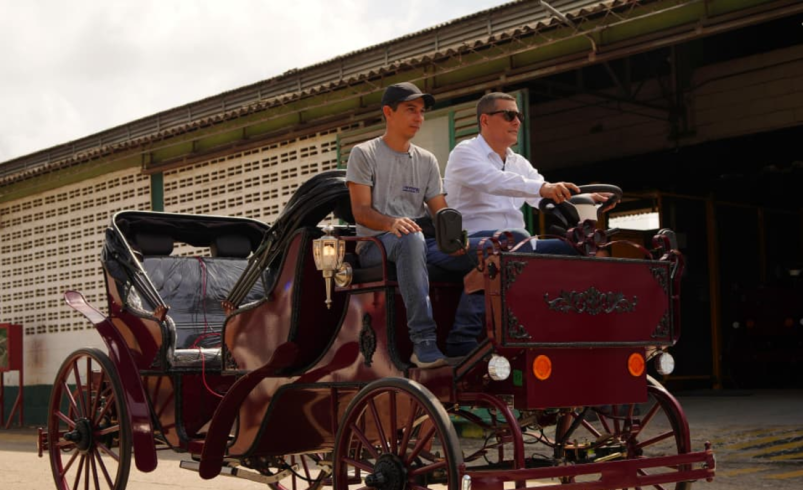 La tracción animal para el turismo termina hoy

 – Tinta clara