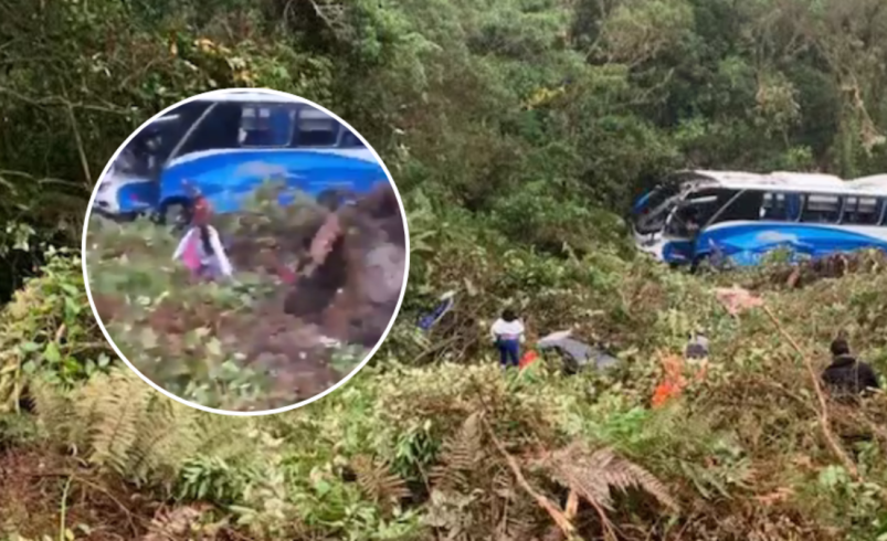 Revelan hipótesis de accidente en el que un autobús de Copetran cayó a un abismo y rodó varios metros en la vía Bucaramanga-Arauca: empresa proporcionó detalles

 – Tinta clara