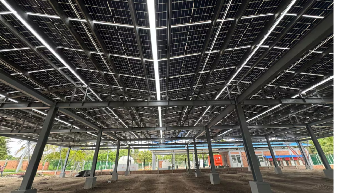 Isla Grande apaga las centrales eléctricas para dar paso a la nueva Granja Agrovo

 – Tinta clara