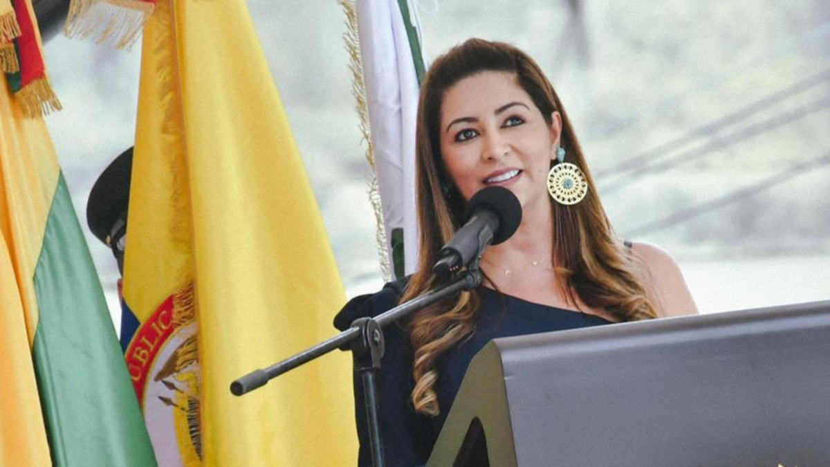 Ante aumento de riesgos, gobernador del Tolima pide apoyo ciudadano para reforzar seguridad en fin de año: ‘Pedimos que nos ayuden’

 – Tinta clara