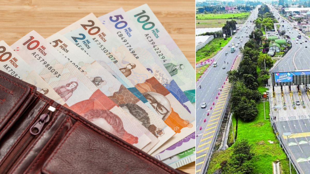 El año empezará en enero y su coste previsto

 – Tinta clara