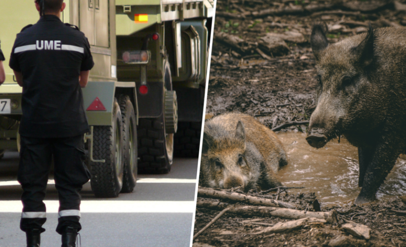 Estamos ante la mayor amenaza para la ganadería en 30 años

 – Tinta clara