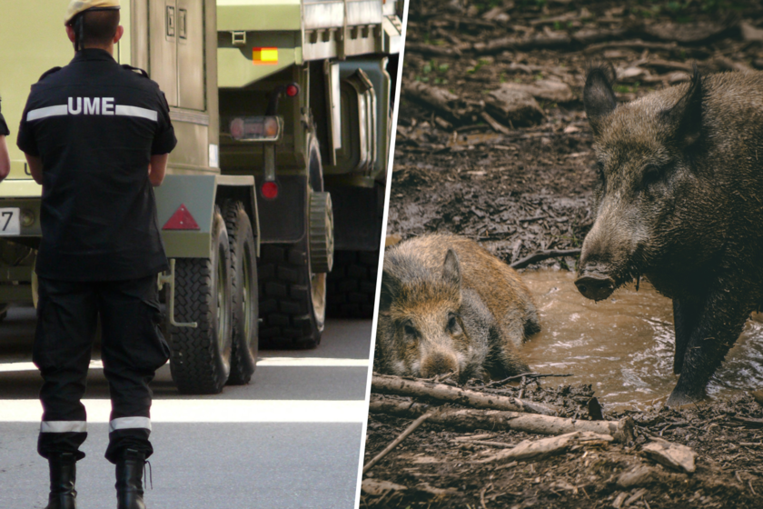 Estamos ante la mayor amenaza para la ganadería en 30 años

 – Tinta clara