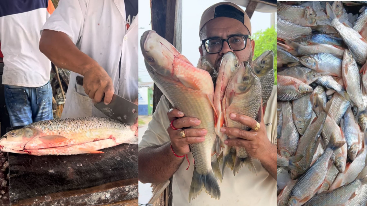 Bloqueos y amenazas en la vía no permiten el ingreso del ascenso de Bocachico

 – Tinta clara