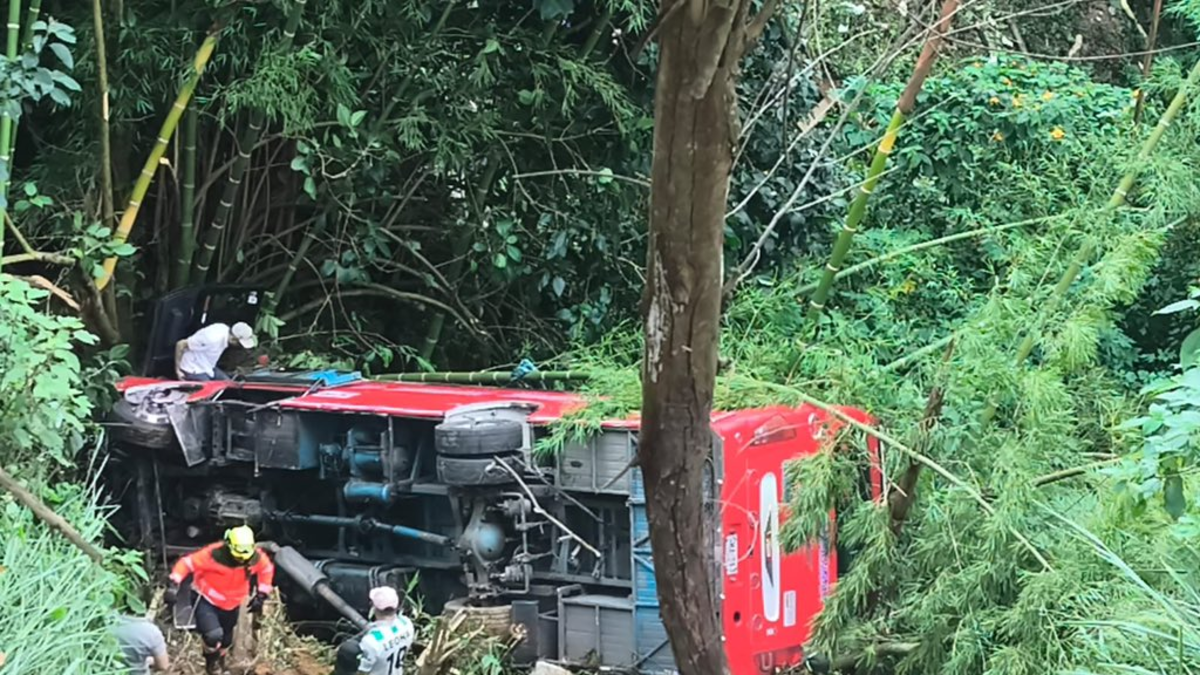 ‘Mi cara estaba llena de vidrio’

 – Tinta clara