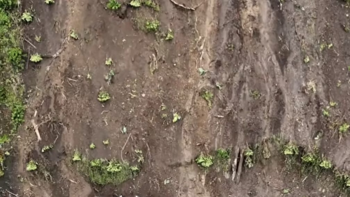 Esta es la identidad del hombre que murió enterrado junto a su hijo de 11 años tras una avalancha que destruyó su vivienda en San Pablo, Nariño

 – Tinta clara