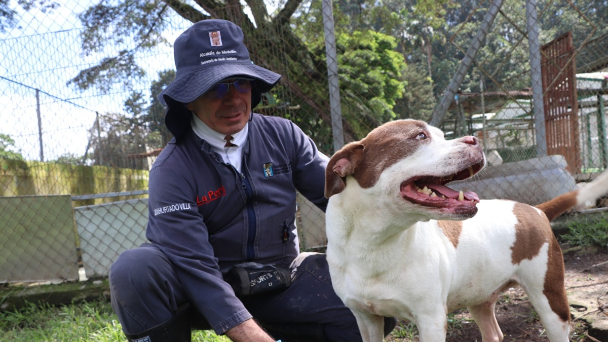 Gracias al trabajo entre la ciudadanía y la Alcaldía de Medellín, 2.548 animales recibieron atención

 – Tinta clara