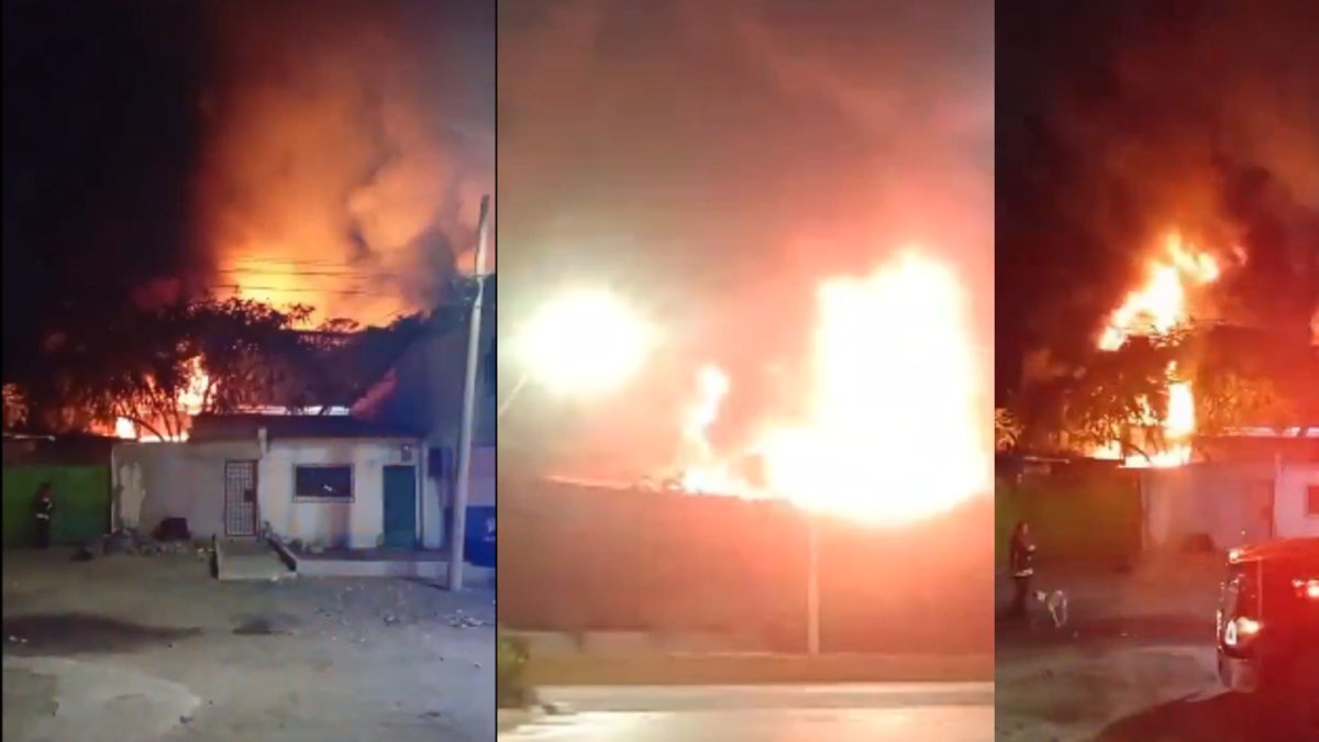 Incendio destruyó fábrica de colchones en Malambo, Atlántico, durante la madrugada de este martes; esto es lo que se sabe

 – Tinta clara
