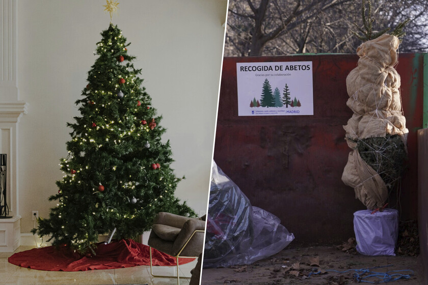 replantarlos en el monte no es una opción

 – Tinta clara