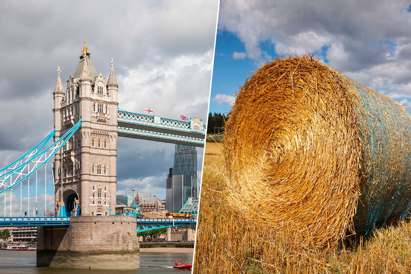 Hay fardos de paja colgando de los puentes del Támesis. No es casualidad, es un sistema de seguridad centenario

 – Tinta clara