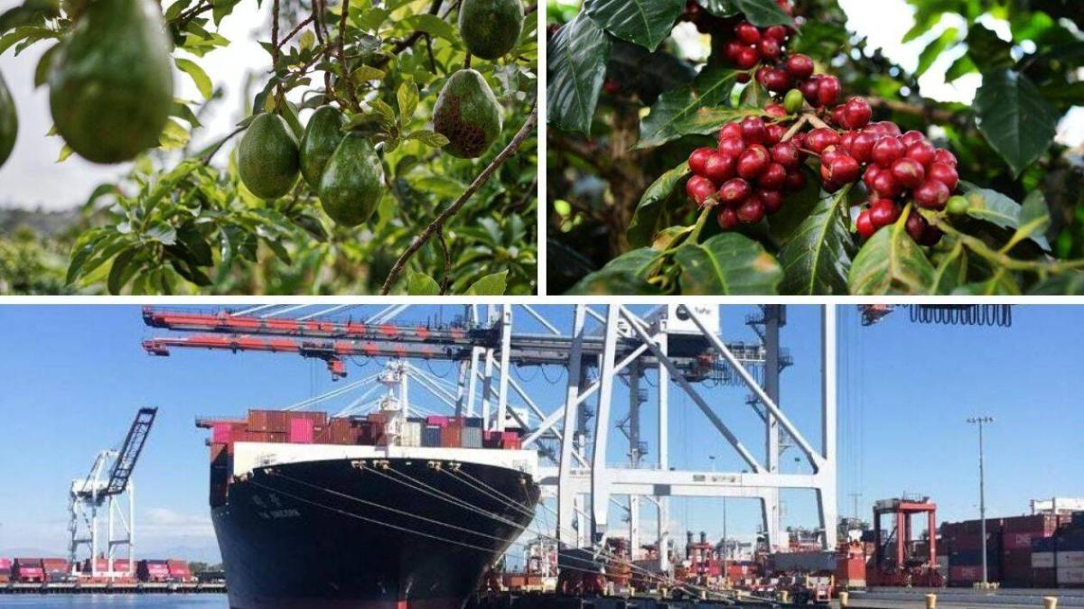 Limpiar las cuentas / Así fue el comercio con Ecuador hasta noviembre

 – Tinta clara