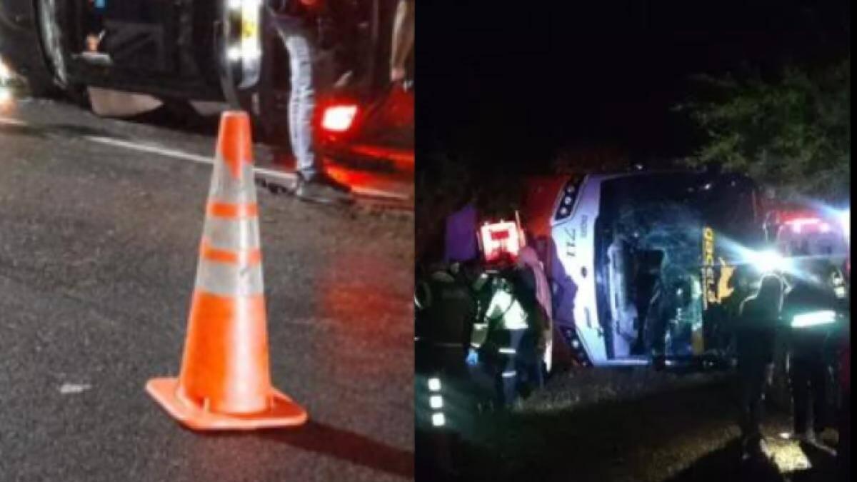 En un año, más de un millón de citaciones

 – Tinta clara