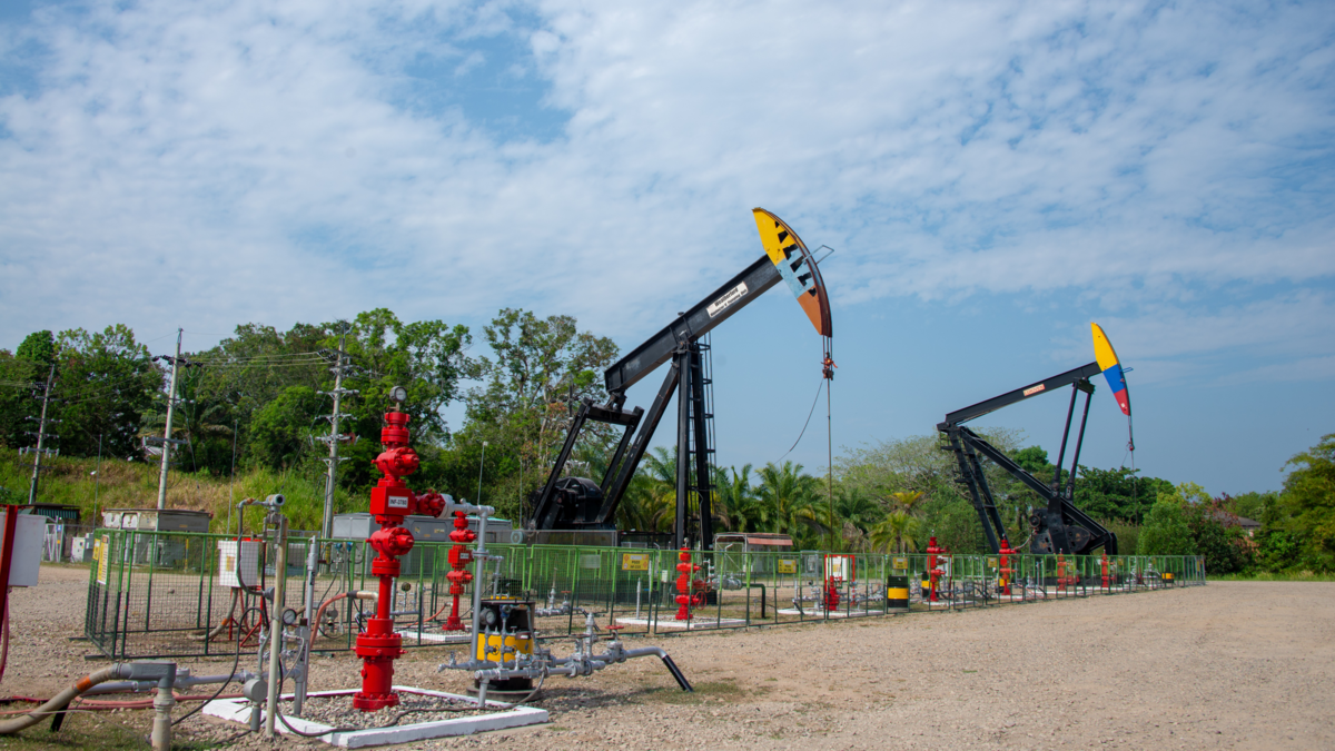 El Ministerio de Minas y Energía rechaza la decisión de Ecuador de aumentar la tasa de transporte de petróleo en más de un 900%

 – Tinta clara