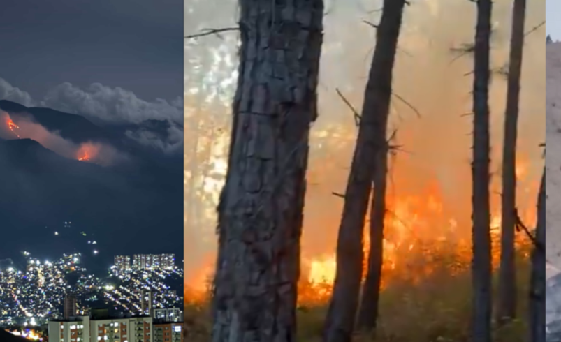 Incendio forestal en Cerro Quitasol lleva tres días activo

 – Tinta clara