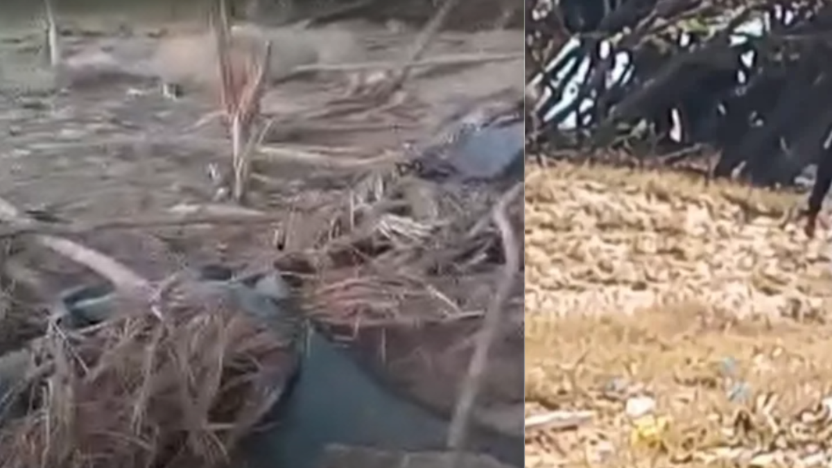 Se encontraron restos de un misil estadounidense en la zona.

 – Tinta clara