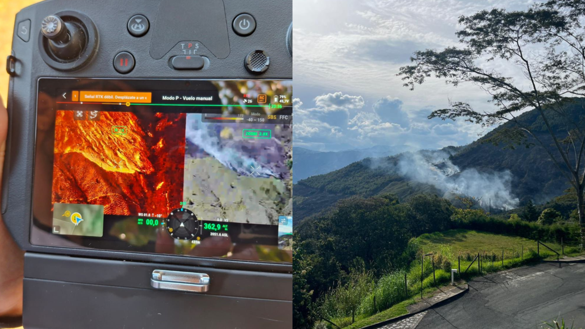 una hoguera habría sido la causa

 – Tinta clara