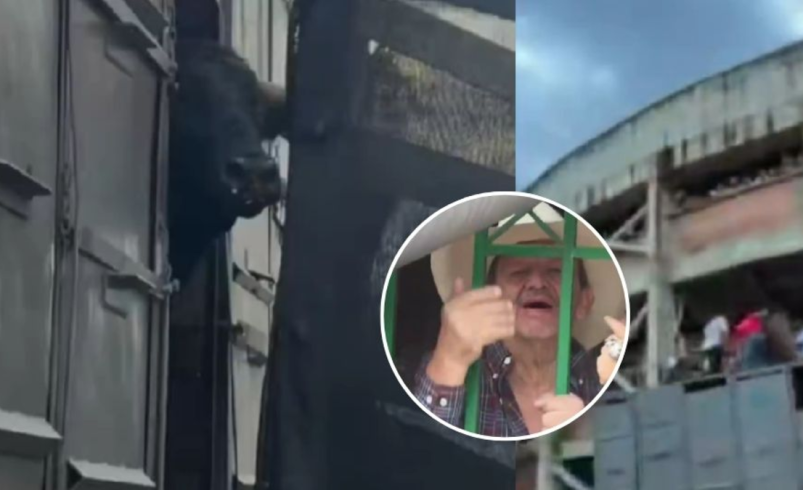 Manifestantes bloquearon la entrada a la plaza de toros de Barbosa, Santander, y confrontaron a los organizadores por maltrato animal: ‘Asesinos’

 – Tinta clara