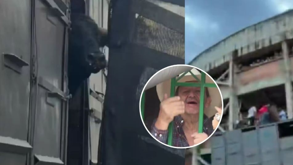 Manifestantes bloquearon la entrada a la plaza de toros de Barbosa, Santander, y confrontaron a los organizadores por maltrato animal: ‘Asesinos’

 – Tinta clara