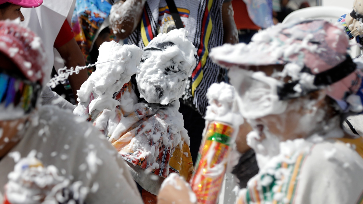 Rechazan violento ataque contra una gallina en Popayán

 – Tinta clara