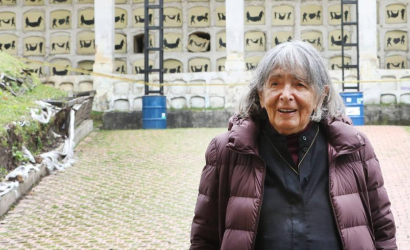 ¿Quién fue la reconocida pintora colombiana Beatriz González, fallecida este 9 de enero? Estas son sus obras más famosas y el legado que dejó

 – Tinta clara