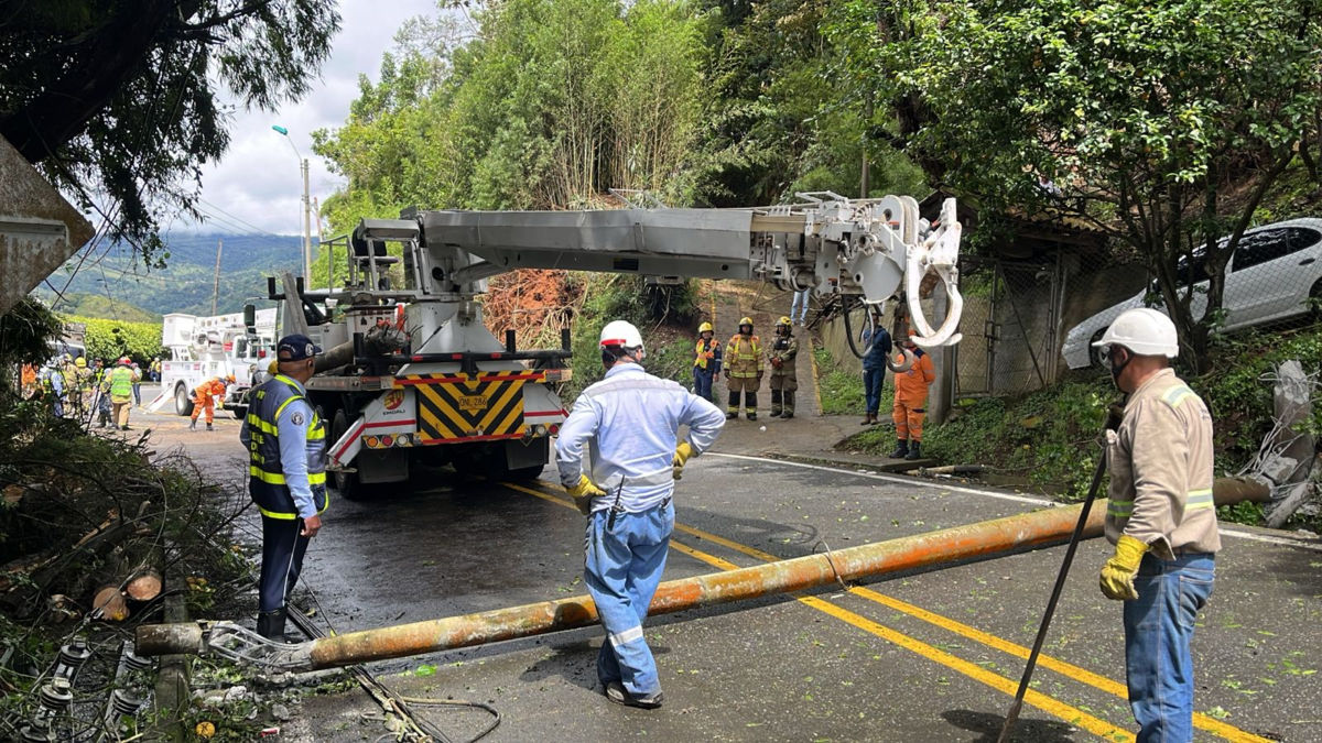 Plan Retorno en Cali | Despejan vía a Buenaventura: retiran árbol y poste que bloqueaba el paso en el barrio El Saladito

 – Tinta clara