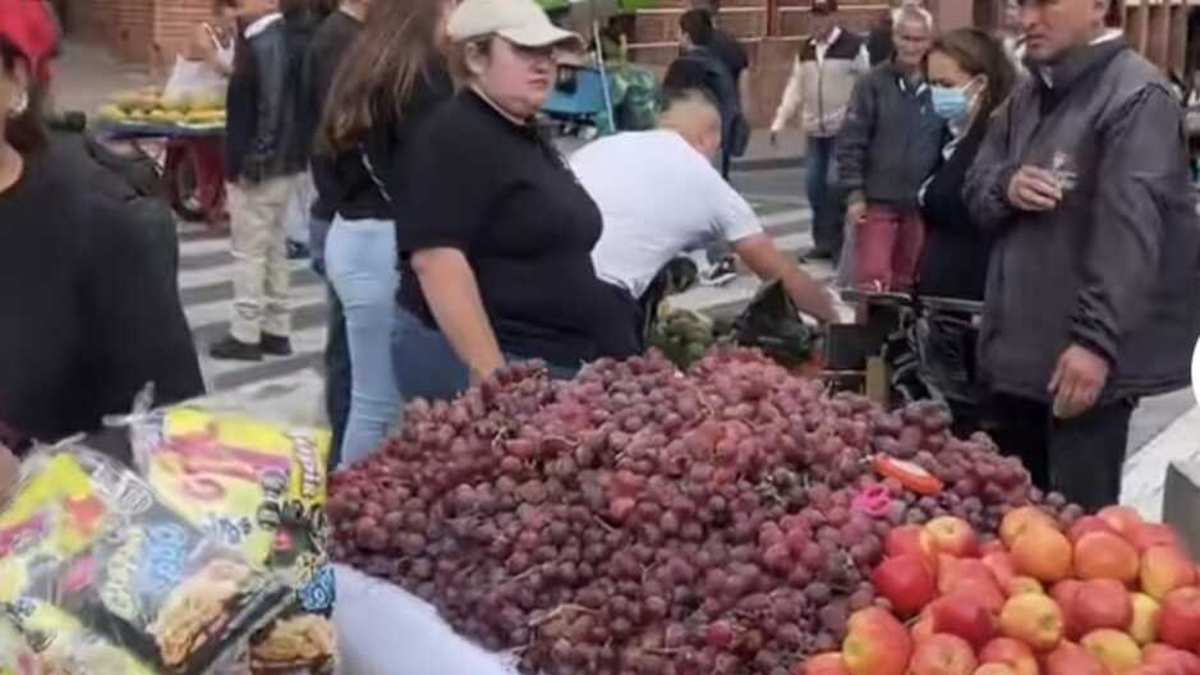 ¿Qué decisiones tomó la Alcaldía de Pasto respecto de los vendedores ambulantes en los espacios públicos de la ciudad, luego de un diálogo y un fallo judicial?

 – Tinta clara