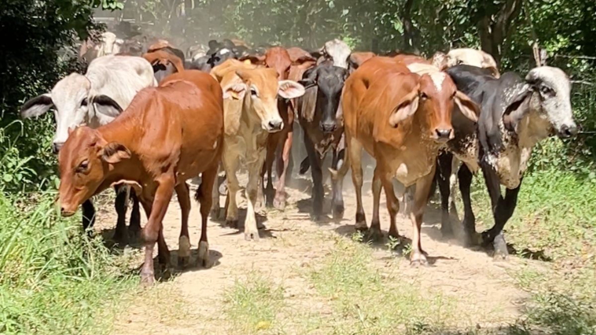 uno de ellos es de un reconocido creador de contenido

 – Tinta clara